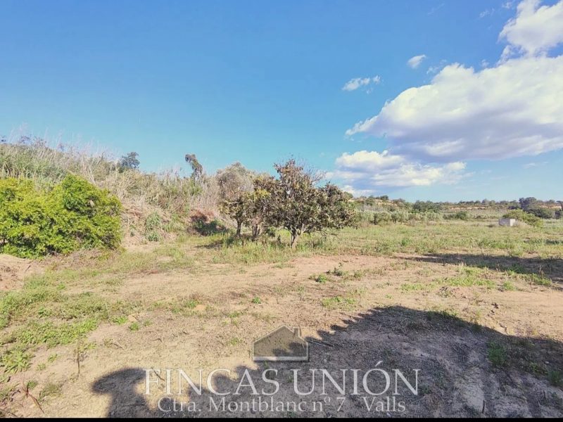 Masía en Venta en Partida Sagarro