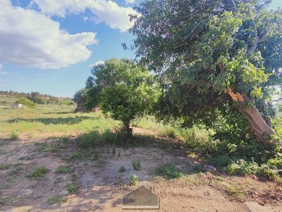 Masía en Venta en Partida Sagarro