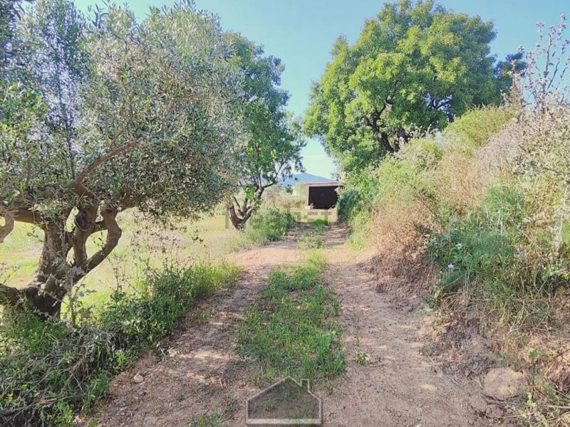 Masía en Venta en Partida Sagarro