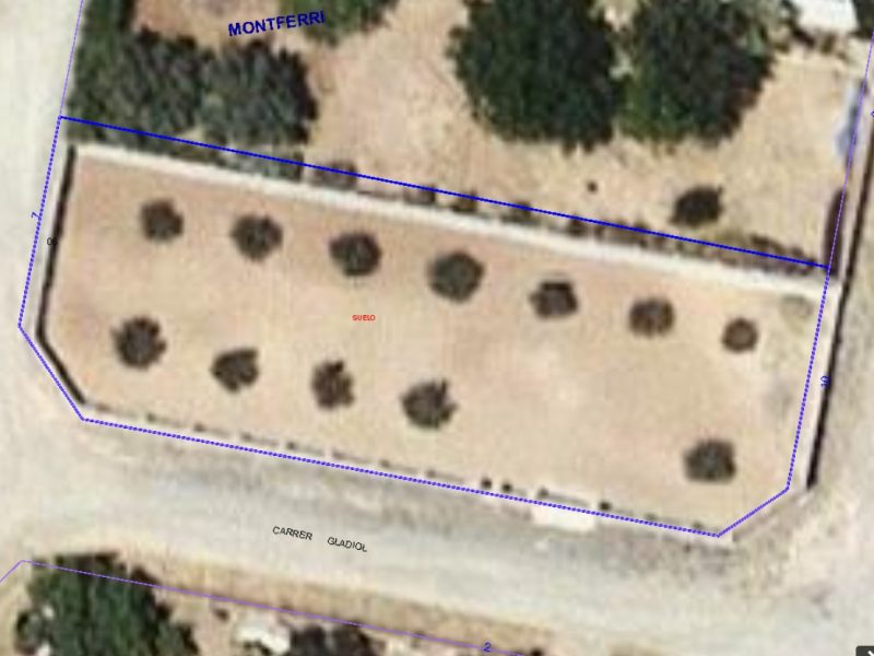 2 parcelas planas de un total de 888m2 en Urb LAlzineta (Montferri), SE VENDEN JUNTAS o se pueden separar