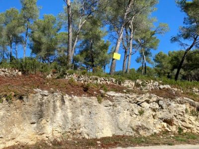 TERRENO EN CASTELLET I LA GORNAL DE 573M2