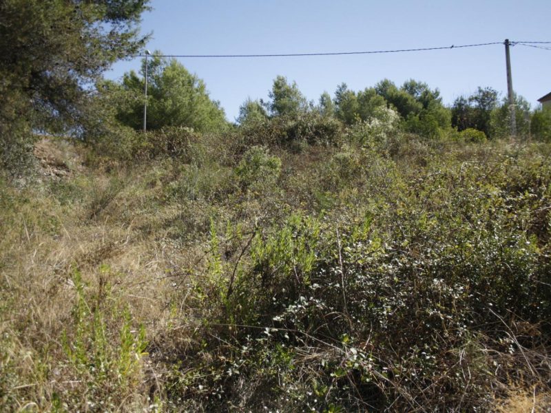 TERRENO URBANIZABLE DE 1300 M2 EN CALAFELL