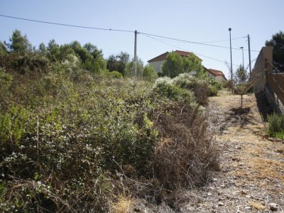 TERRENO URBANIZABLE DE 1300 M2 EN CALAFELL