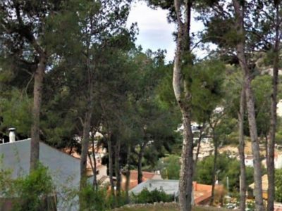 SOLAR EN MAS TRADER (CUBELLES)