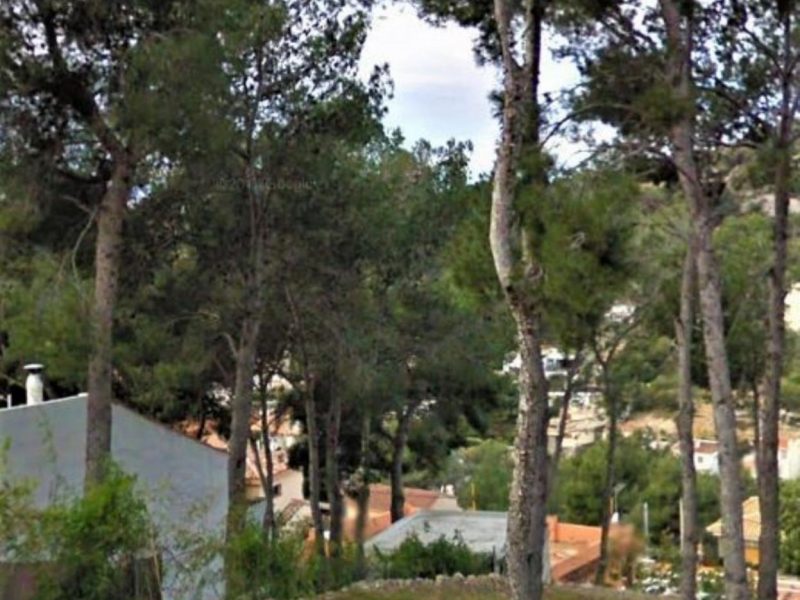 SOLAR EN MAS TRADER (CUBELLES)