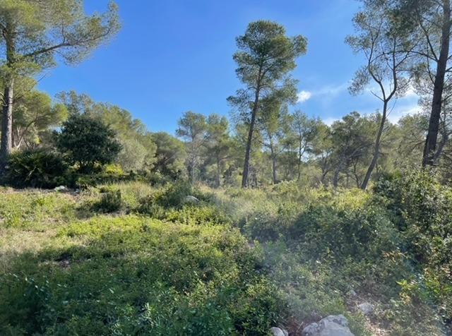 TERRENO EN CASTELLET I LA GORNAL DE 573M2