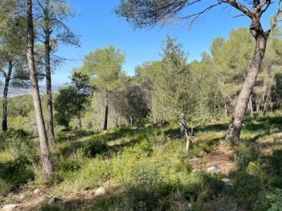 TERRENO EN CASTELLET I LA GORNAL DE 573M2