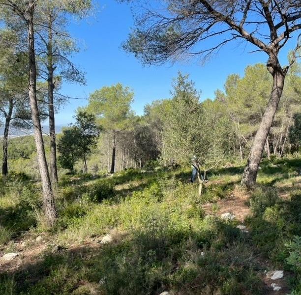 TERRENO EN CASTELLET I LA GORNAL DE 573M2