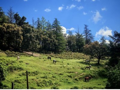 CARAVANA CAMPING VIDAL PARK, VALL VIDAL , ARBÚCIES