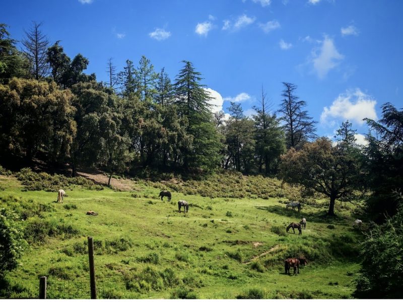 CARAVANA CAMPING VIDAL PARK, VALL VIDAL , ARBÚCIES